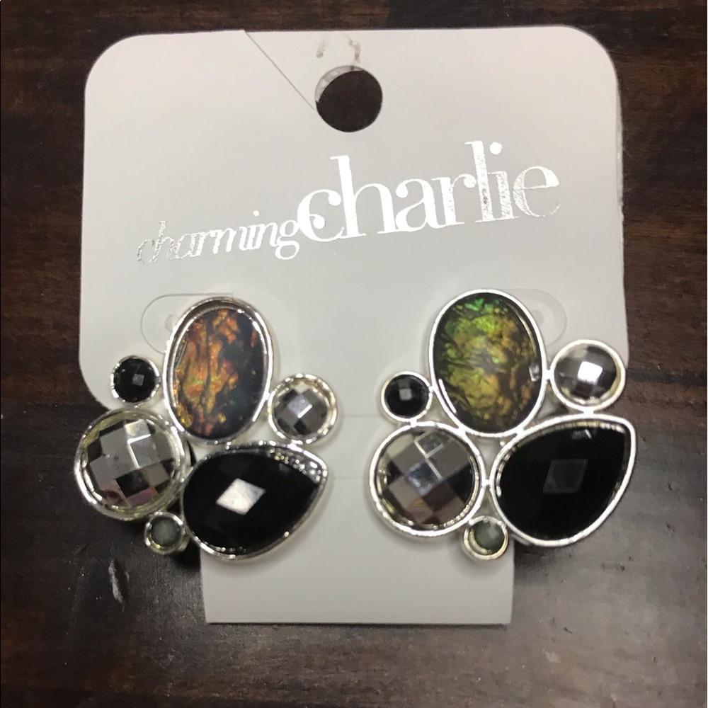 NEW WITH TAGS Charming Charlie earrings